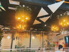 -四季合味椰子鸡(南山大冲店)