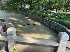 -江心屿景区