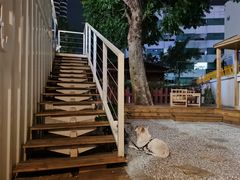 -椿风·养身茶饮(吉大店)
