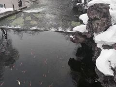 -水磨沟公园