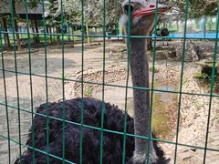 -武汉紫薇都市田园