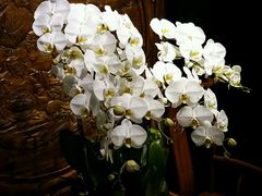 -幽篁里古琴制作中心