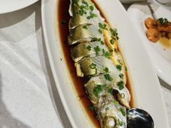 -金美华轩(东方路齐鲁店)