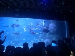 -左海海底世界