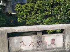 -小洲村