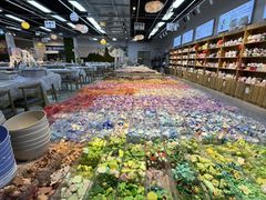 -郑在DIY·潮玩银饰绘画手作(中央大道旗舰店)