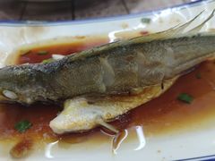 -鑫鸿达·海鲜闽菜热炒小馆(中山路店)