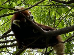 -常州淹城野生动物世界