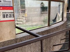 -昆明动物园