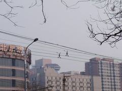 -北京全聚德(西客站店)
