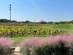 -嘉北郊野公园