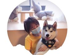 -Husky Go! 哈士奇体验馆·宠物咖啡厅狗咖