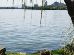 -好灶头妈妈菜·柴火灶台鱼·千岛湖土菜地标美食