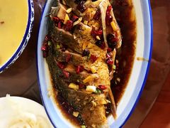 运河大鲤鱼-湖光月色临湖音乐餐厅(台儿庄古城店)