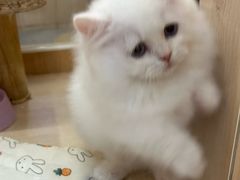 -金光华广场