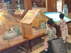 -三亚亚龙湾天域度假酒店