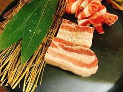 -坦坦大炉·韩式烤肉(望京店)