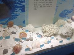 -温州博物馆