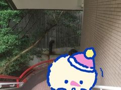 -香港大学