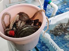 -春华海鲜城(广场西苑店)