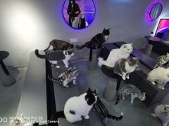 -极木²邸 人与宠物·互动社区