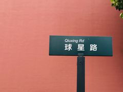 -山东鲁能乒乓球学校