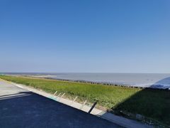 -芦潮港集贸市场