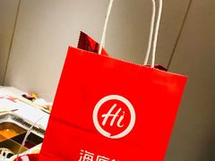-海底捞火锅(公益西桥店)