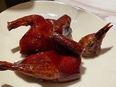 脆皮妙龄鸽-新荣记(新源南路店)