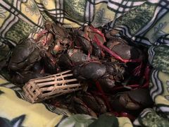 -瑞丽活螃蟹(芒市店)