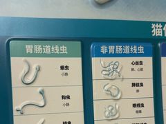 -宠颐生宠物医院外科·内科·皮肤科·影像科(石龙店)
