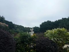 -金鸡山公园