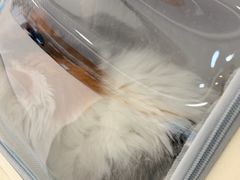 -美联众合动物医院·24h京西诊疗中心