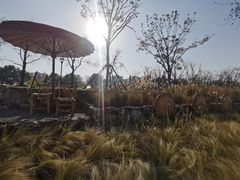 -上海山野camping·户外天幕烧烤·团建拓展营地