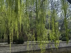 -元大都城垣遗址公园