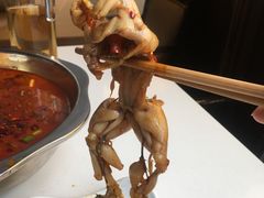 牛蛙-宽口美蛙鱼头(大唐西市店)