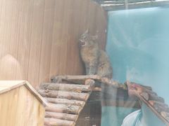 -青藏高原野生动物园