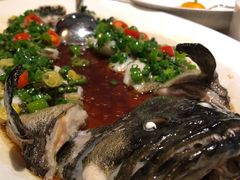 鲜花椒蒸海石斑-翠府(翠湖北路店)