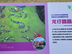 -深圳仙湖植物园