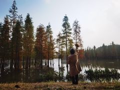 -白鹭湾湿地公园