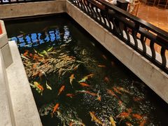 -龙悦湾酒家·八阵鱼生·渔人码头店
