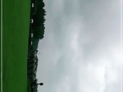-东平国家森林公园