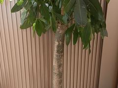 -普天和酒楼(天津之眼店)