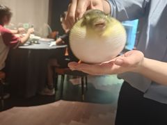 -肆月河豚·淮扬菜·湘菜(华天店)