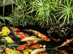 -聚福宝合苑食府(南头镇店)