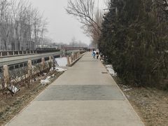 -元大都城垣遗址公园