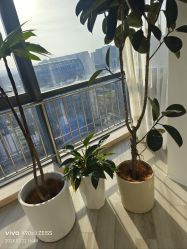 -HEYAN荷妍专业脱毛连锁机构