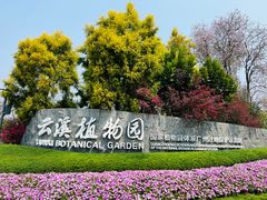 -云溪植物园