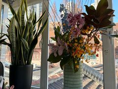 -蝶舍·MAISON PAPILLON