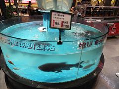 -魏铭鱼头捞饭(晋阳路店)